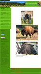 Mobile Screenshot of bison-vom-sonnenhof.de